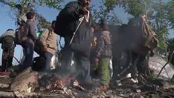 CLEAN : Serbia Police struggle to contain flow of migrants into Croatia News Clip