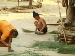 MS TS SLO MO Shot of man squatting working with brush made of long grass and woman selecting and bunching long grass / Muang Ngoi, Luang Prabang, Laos Stock Footage