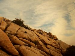 Joshua Tree's Hidden Valley Rocks Stock Footage