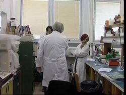 Scientists claim breakthrough in neutralising food allergens News Clip