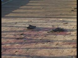 WRAP Day shots of scene, hospital after 3 bombs kill 23 News Clip