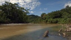 Rio Villano in the Ecuadorian Amazon Stock Footage