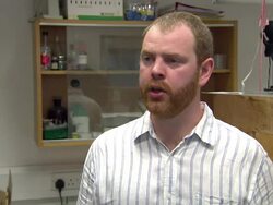 New study into declining bee population News Clip