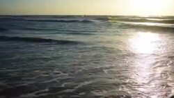 Wide View of the Ocean Waves crashing on Padre Island Beach with surfers and people enjoying the morning Stock Footage