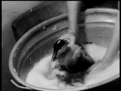 TROUBLE ON THE BEACH News Clip