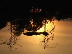 sunlight reflection Stock Footage