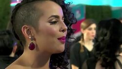VOICED : La alfombra roja de los Grammy Latinos News Clip