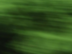 Tracking shot of trees outside a moving train Stock Footage