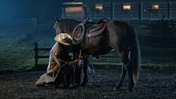 SLO MO Rancher stroking horse's legs Stock Footage