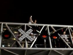 ATMOSPHERE: Fans as Miami Fans Celebrate Following Stock Footage