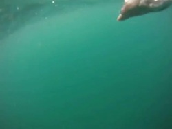 Swimming underwater view - loopable Stock Footage