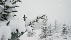 4K Winter Landscape | Loopable Stock Footage