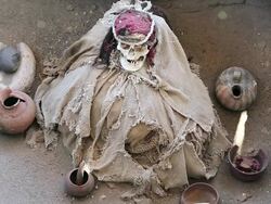 MS Shot of skull and mummies at Chauchilla cemetery / South Of Peru, Nazca, Peru Stock Footage