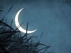 Crescent Moon In The Mysterious Blue Night Stock Footage