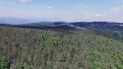4K Aerial Shot - Forest Stock Footage