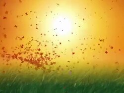 Butterfly on the grass Stock Footage