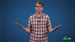 Why Tomatoes Are Fruits, and Strawberries Aren't Berries Instructional Video