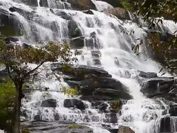 Cascade Waterfalls in Tropical Rainforests Stock Footage