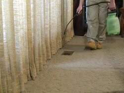 Exterminator Stock Footage