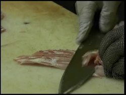 Alligator burgers popular in the US News Clip