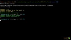 Web Development with Node.JS and MongoDB (Video 14) Instructional Video