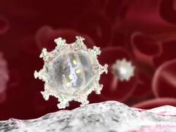 HIV particle infecting a cell. Animation of an HIV (human immunodeficiency virus) particle infecting a host cell Stock Footage