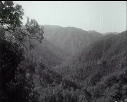 CYPRUS TERRORISTS ON THE RUN News Clip