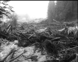 ALPINE LANDSLIDE News Clip