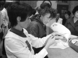 CHAMPION PETS News Clip