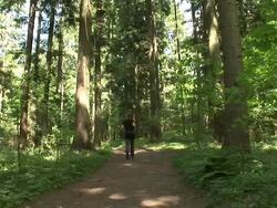 HD: Jogging Stock Footage