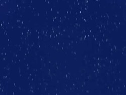 HD: Backlit Snowing Stock Footage