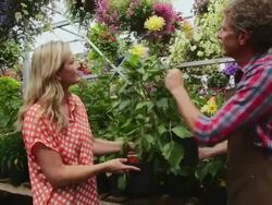 Worker assisting woman in plant nursery greenhouse Stock Footage