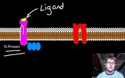Signal Transduction Pathways Instructional Video
