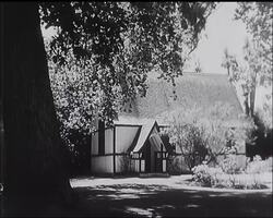 NEW ZEALAND - The Royal Tour News Clip