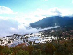 Yuanyang Terraced Fields Stock Footage