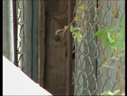 Care centre for orphaned black bear cubs News Clip