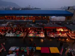 MS T/L Shot of people at Jagalchi Fisheries Wholesale Market / Busan, South Korea Stock Footage