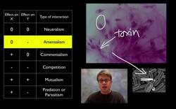 Populations Instructional Video