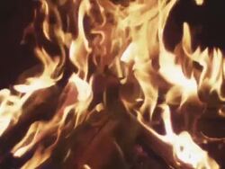 "ECU SLO MO Shot of fire flames in campfire / Bend, Oregon, United States " Stock Footage