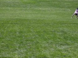 MS Well dressed young man man cart wheeling in park on sunny day / Minneapolis, Minnesota, United States Stock Footage