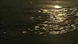 An oar pushes the surface of water during the golden hour. Stock Footage