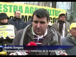 VOICED: Tomatazo en Madrid contra acuerdo agricola News Clip