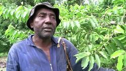 VOICED : El secreto de los mejores perfumes del mundo News Clip