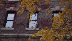 Ghosts of Evolution Instructional Video