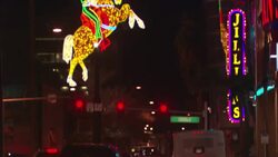 Neon lights illuminate signs in Las Vegas, Nevada. Stock Footage