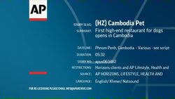 First high-end restaurant for dogs opens in Cambodia News Clip
