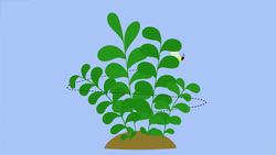 TED-ED: The exceptional life of Benjamin Banneker - Rose-Margaret Ekeng-Itua Instructional Video