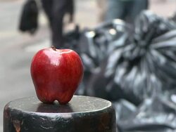 The Big Apple Stock Footage