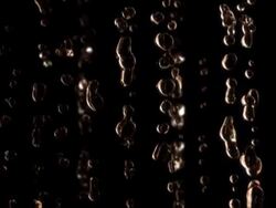 Champagne Bubbles Stock Footage