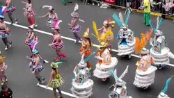 VOICED : Peruanos embanderados por ley News Clip